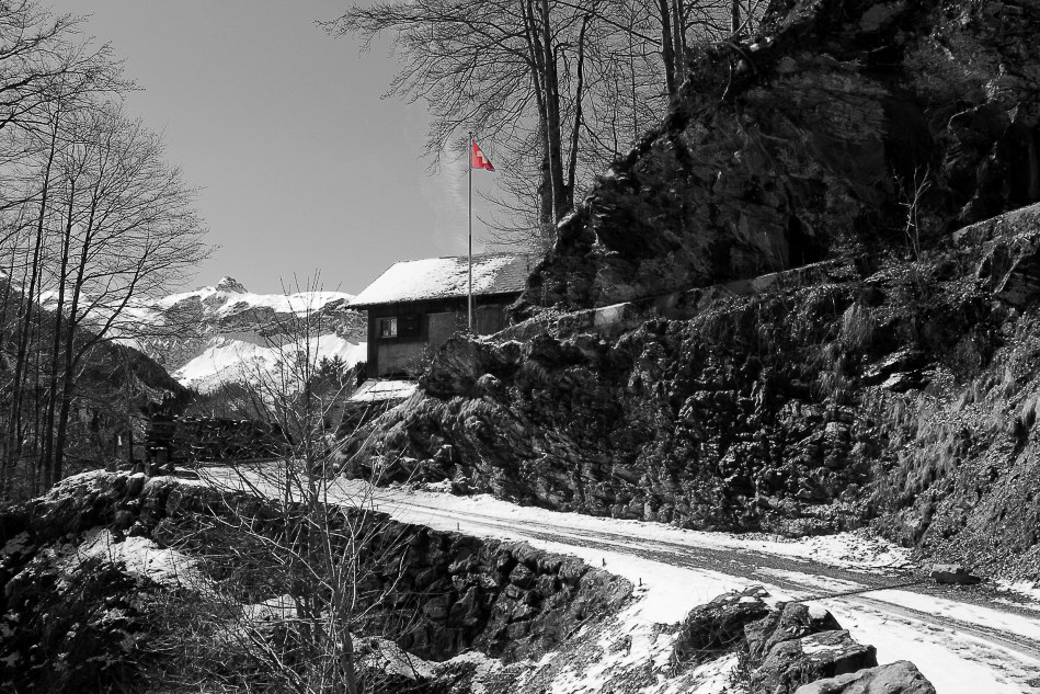 Natur - 012 - Vorbach