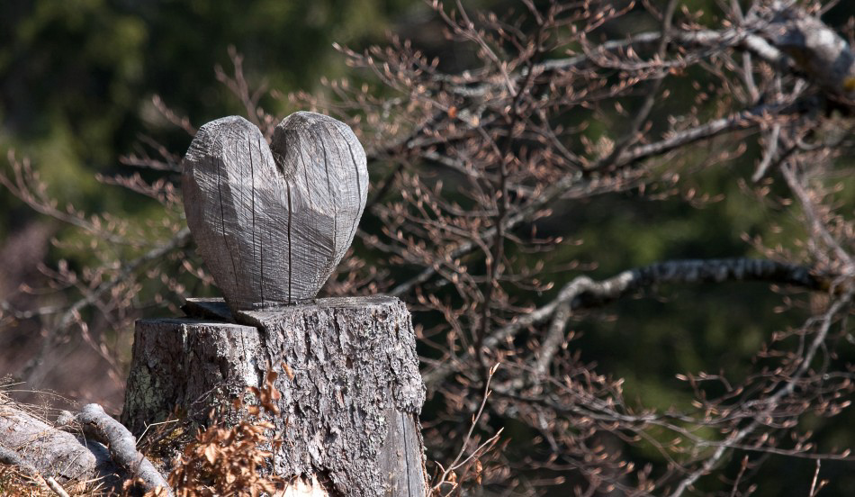 Natur - 031 - Holzherz