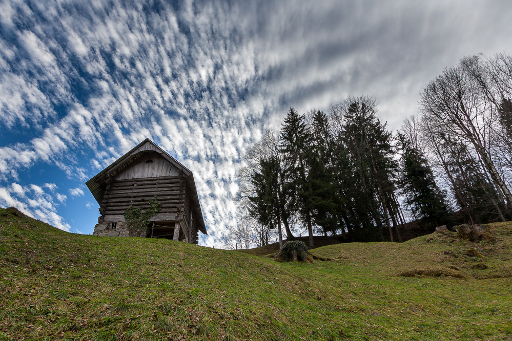 008 - Hütte im Grashang