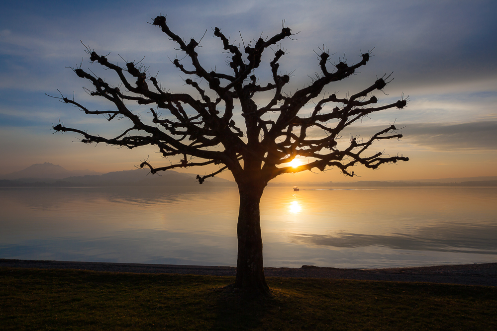 014 - Sonnenuntergang am Zugersee
