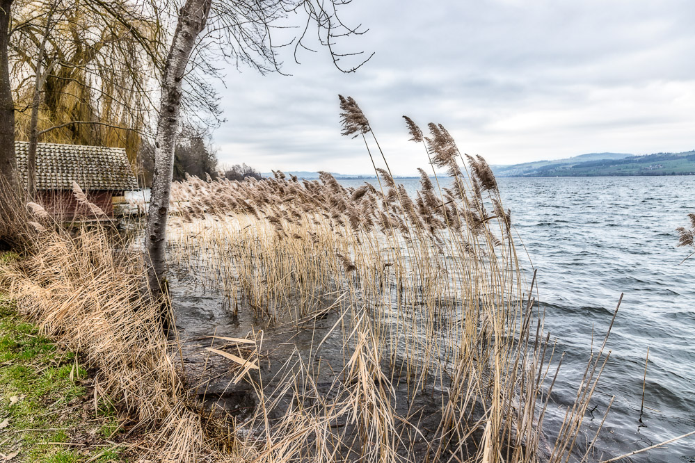 fruehling21 - 05 - Am Sempachersee