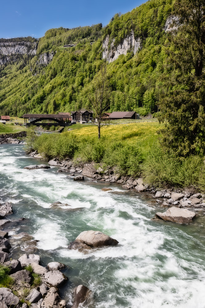 fruehling21 - 25 - Im Muotathal