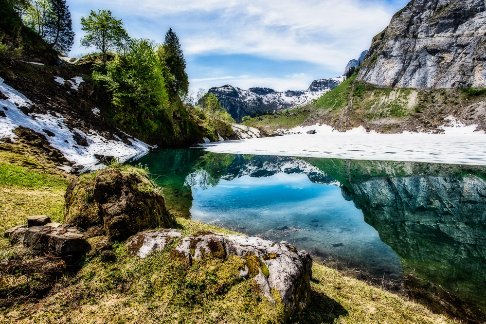 fruehling21 - 38 - Oberblegisee