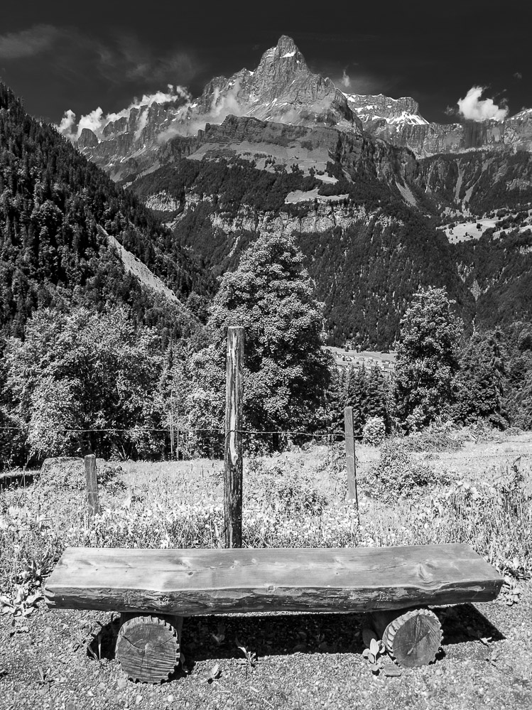 fruehling21 - 46 - Im Durnachtal - Ortstock