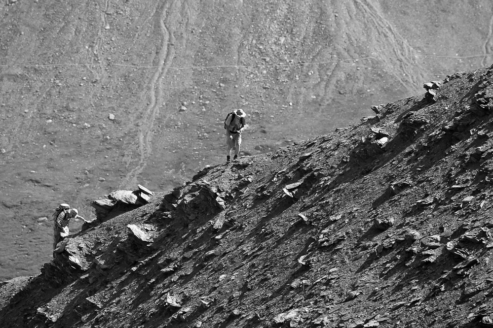 grisch020 - Besucher