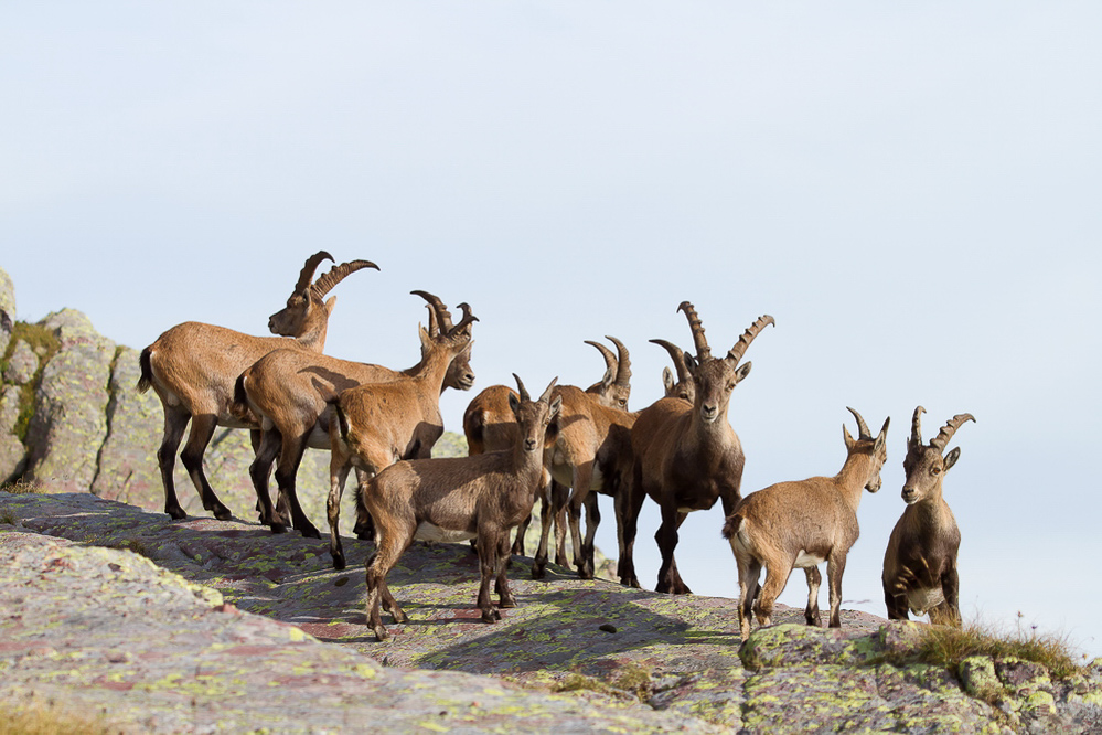 Gufelstock - 011 - Gruppenbild
