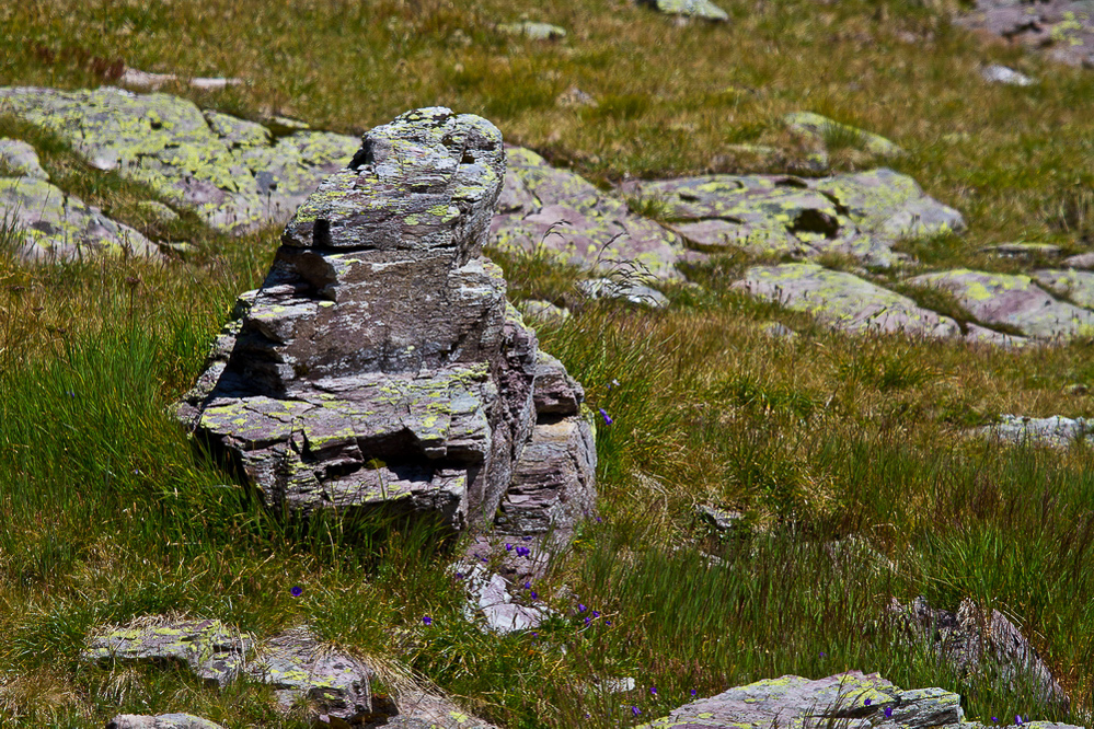Gufelstock - 025 - Stein