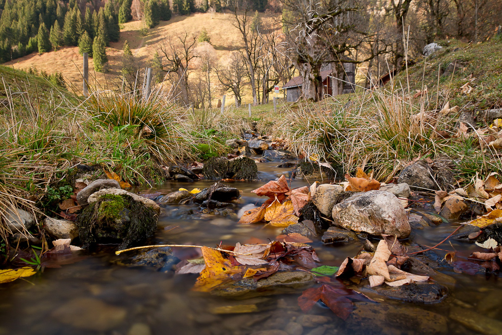 Herbst-11 - 014 - Bächlein naturbelassen