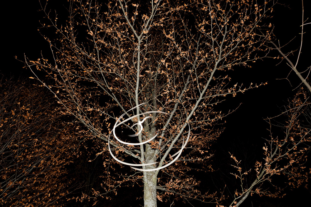 Herbst-11 - 028 - Baumgeister