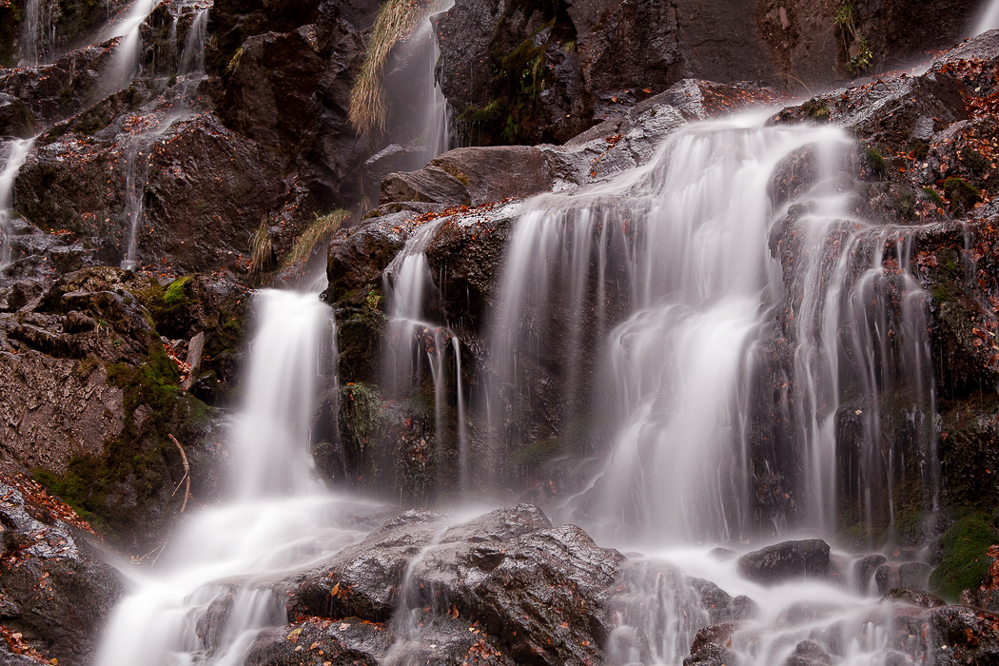 Herbst-11 - 038 - Der Hellbach fliesst