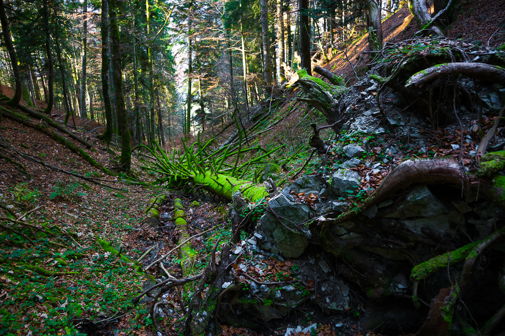 Herbst-18-010-Hüttenberg