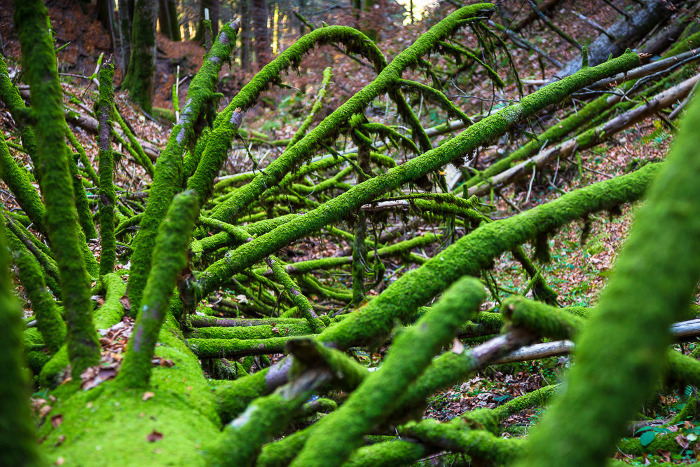 Herbst-18-011-Hüttenberg