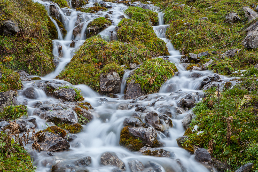 herbst19_004_Glattalp