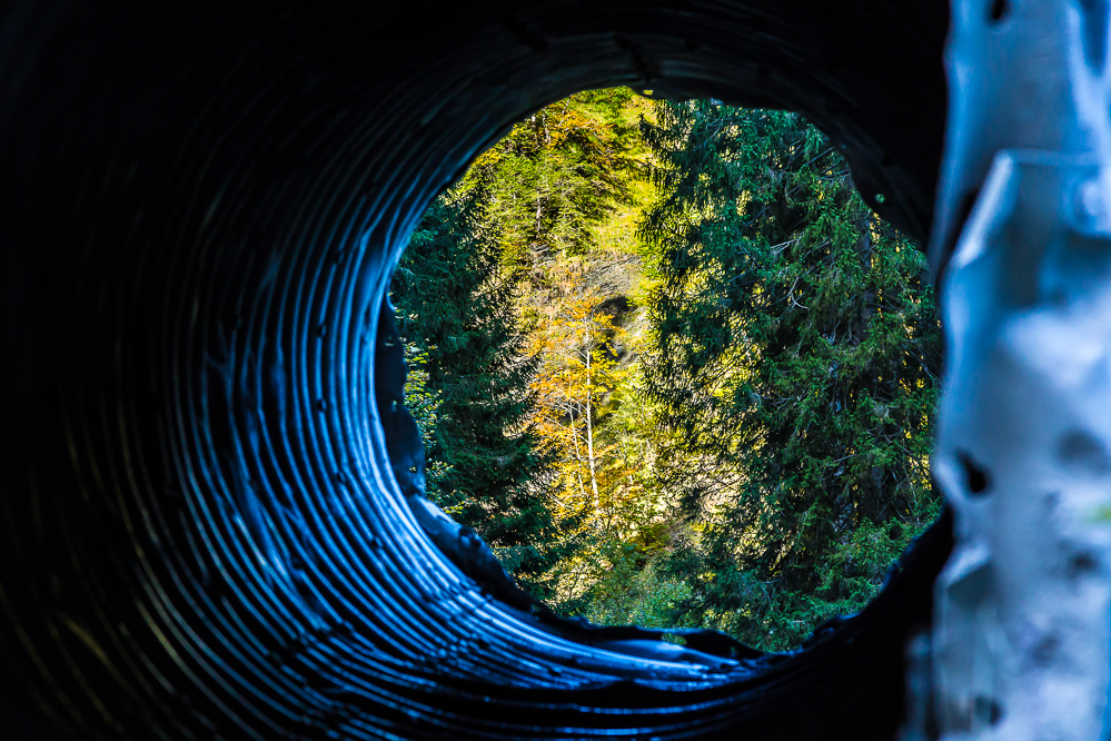 herbst19_010_Tunnelblick