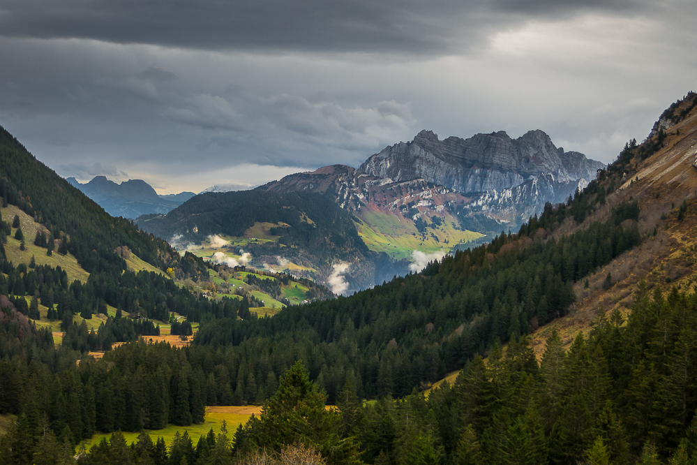 herbst19_026_Richtung Muertschen