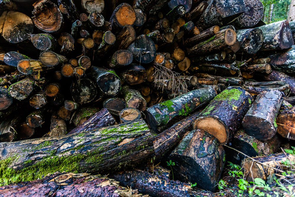 010herbst14 - Holz