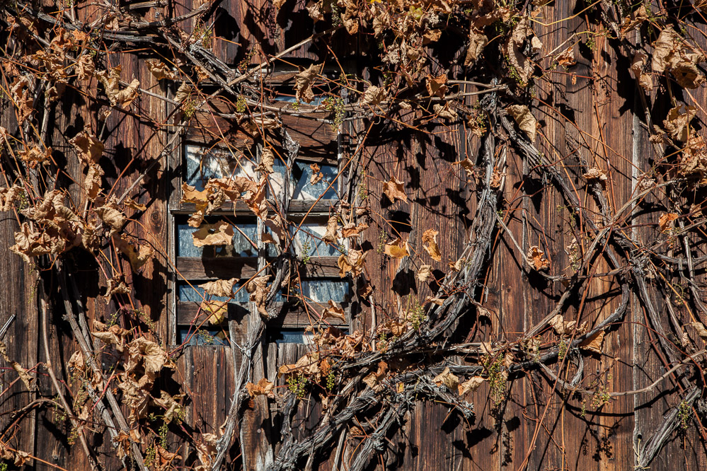016herbst14 - Fenster