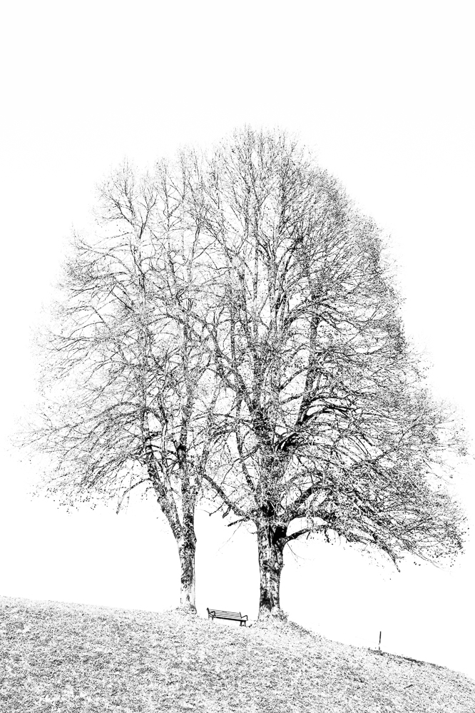 013 - Herbst 24 - Kraftort