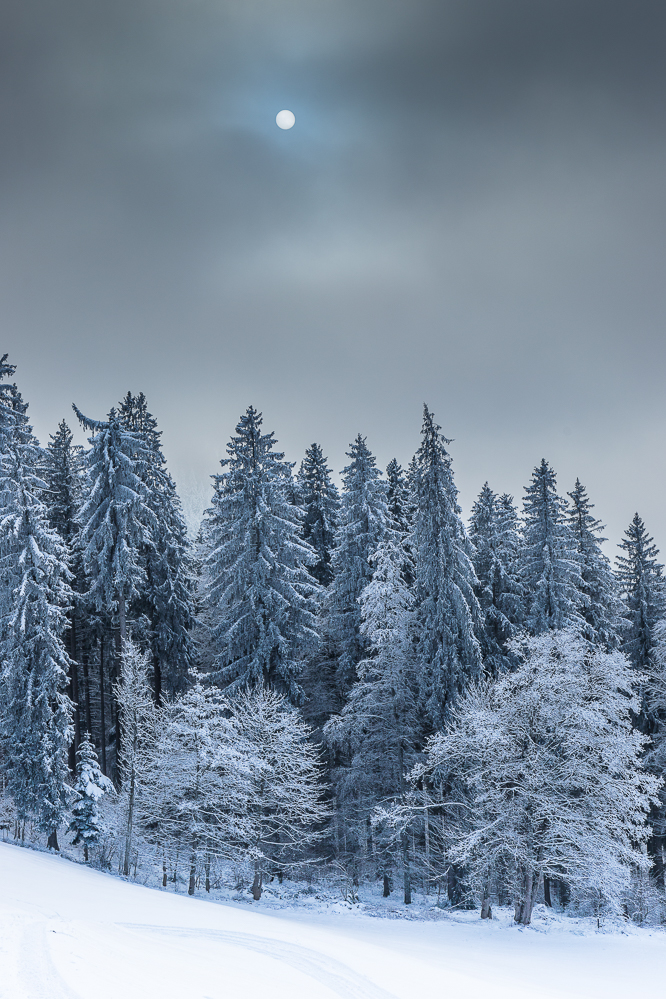 024 - Herbst 24 - Wintersonne