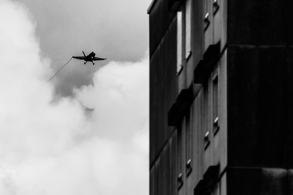 hornet_002