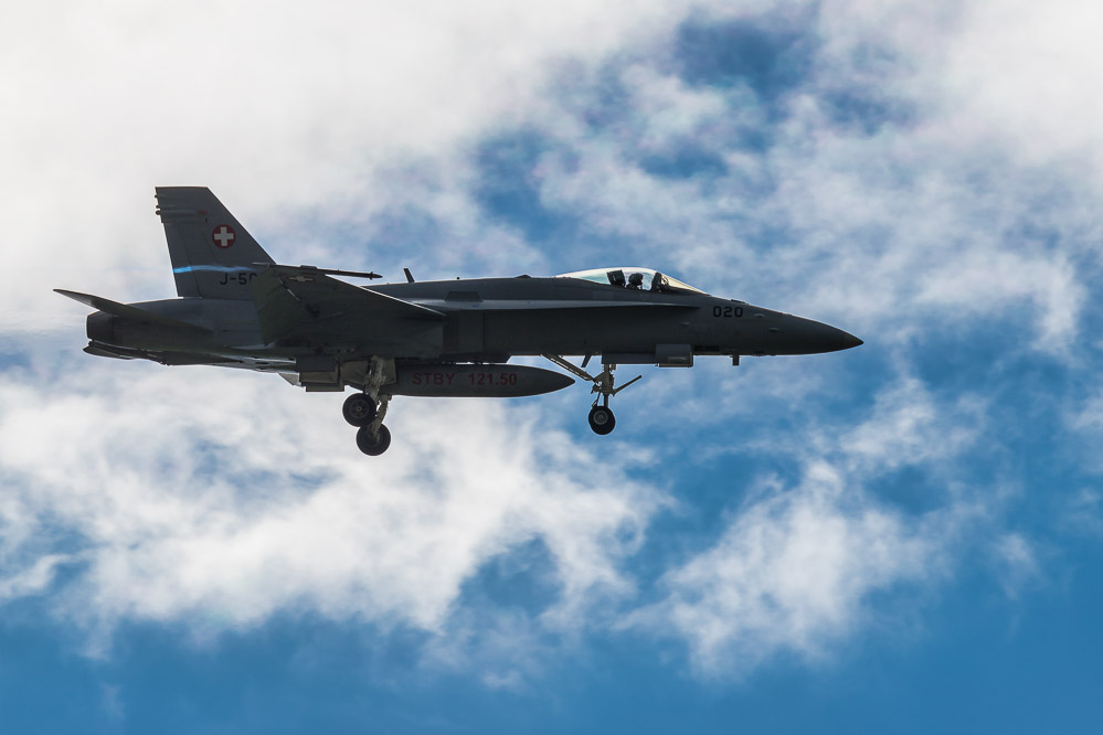 hornet_004