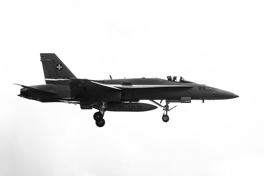 hornet_007