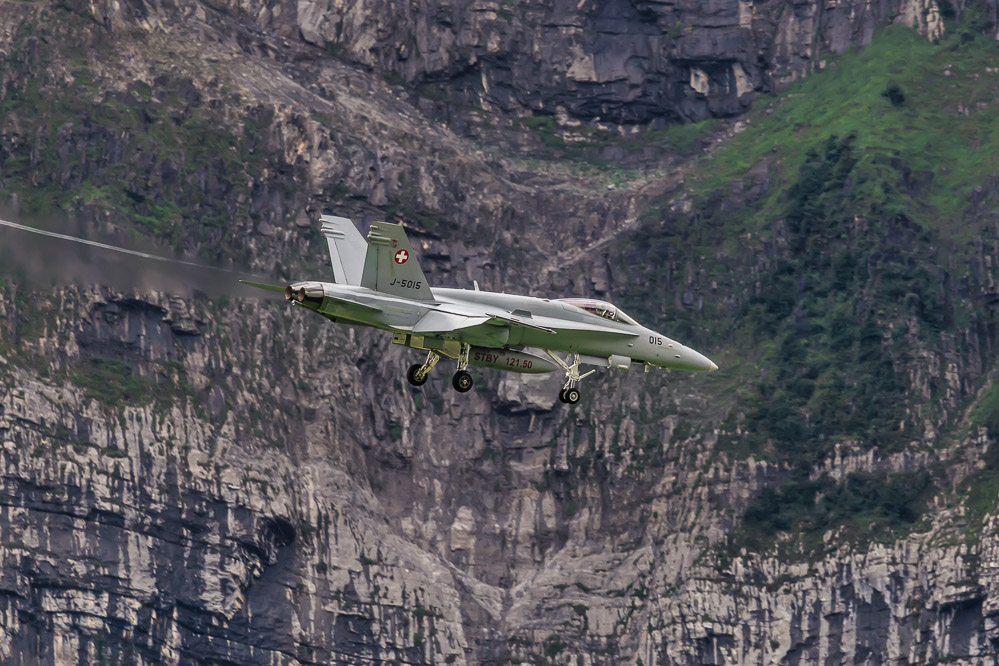 hornet_009