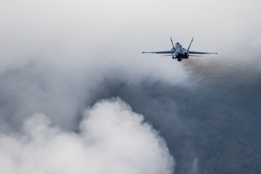 hornet_101