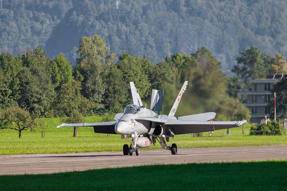 hornet_103