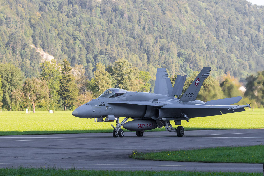 hornet_104