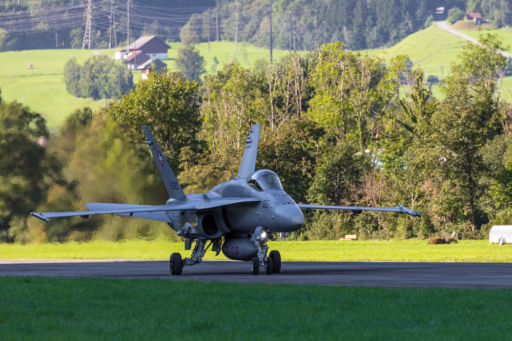 hornet_105