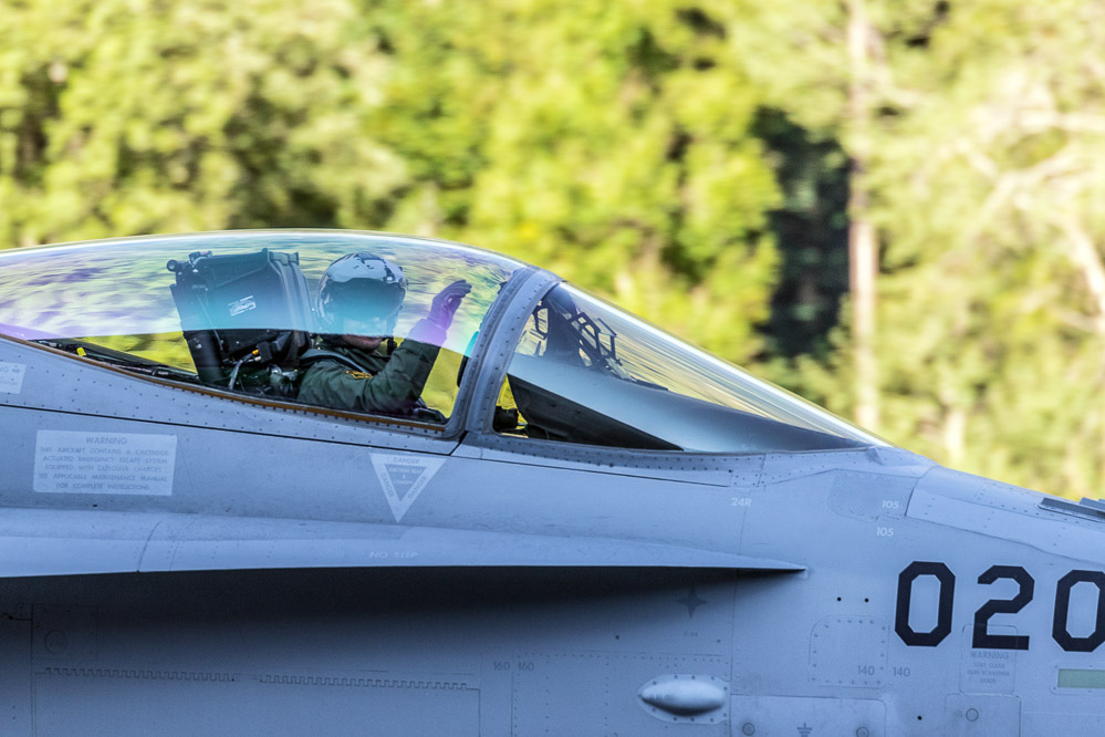 hornet_106