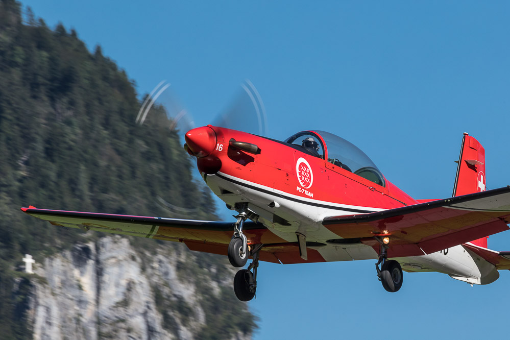 hornet_110