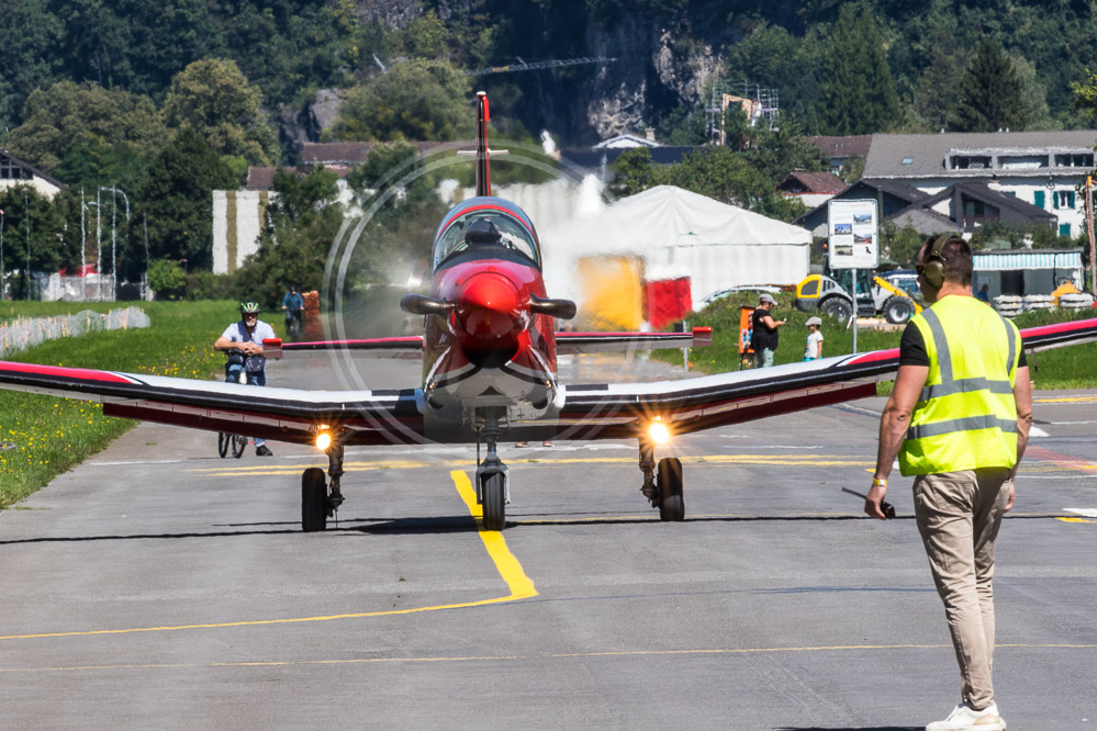 hornet_113