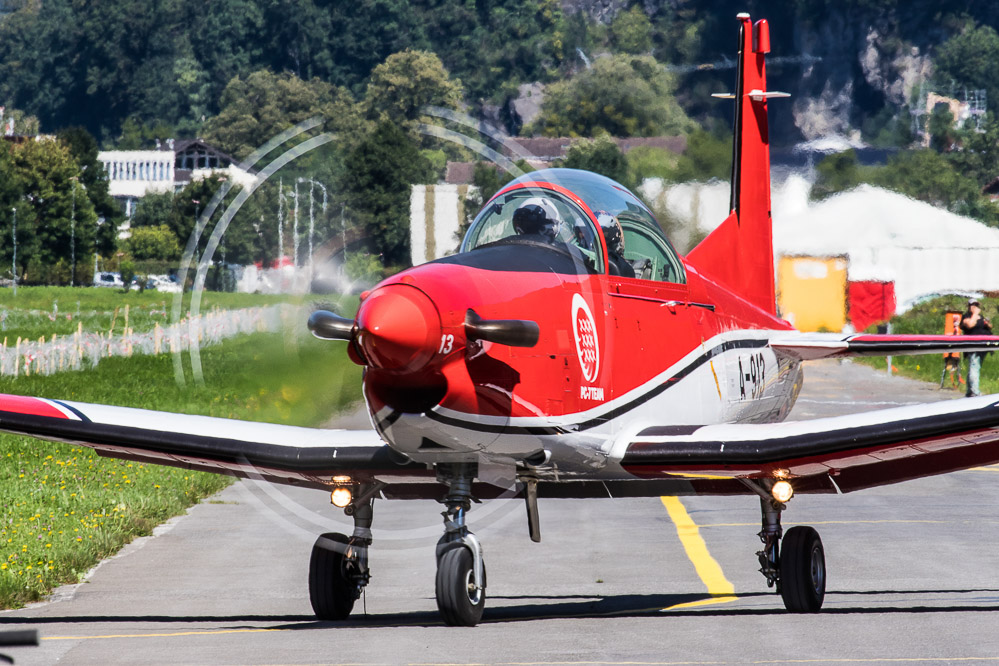 hornet_114