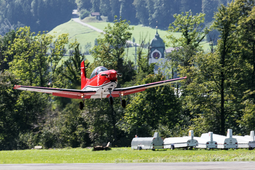 hornet_115