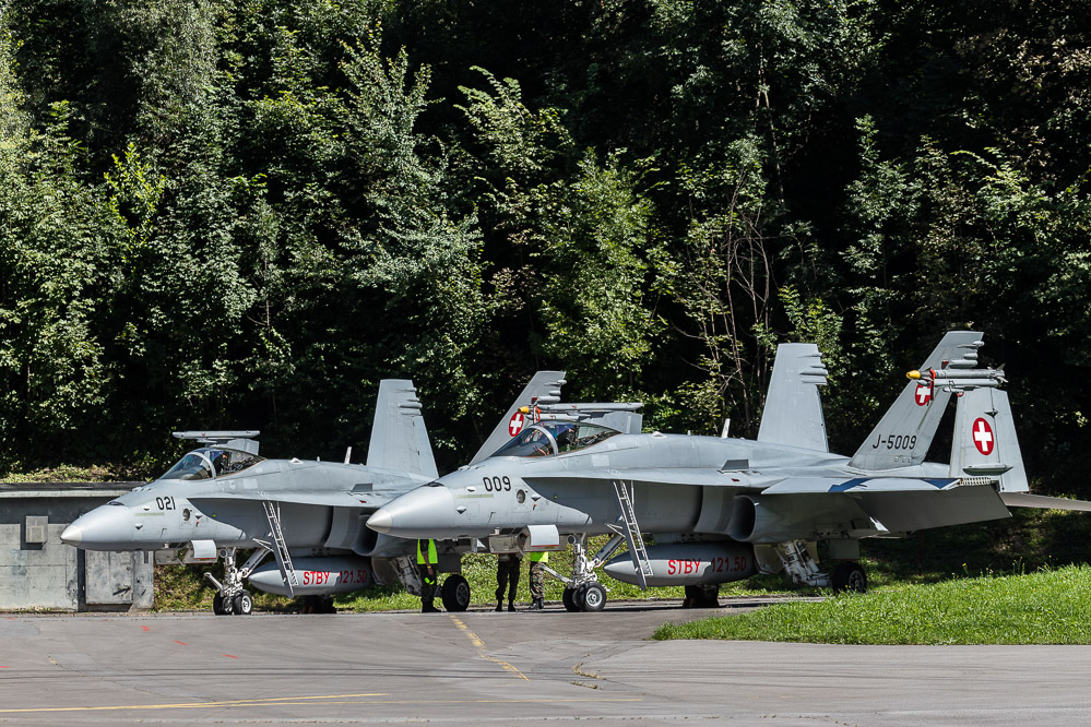 hornet_117