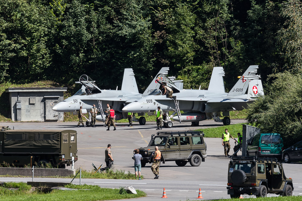 hornet_118