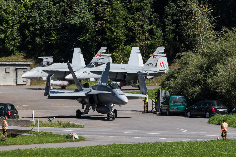 hornet_119
