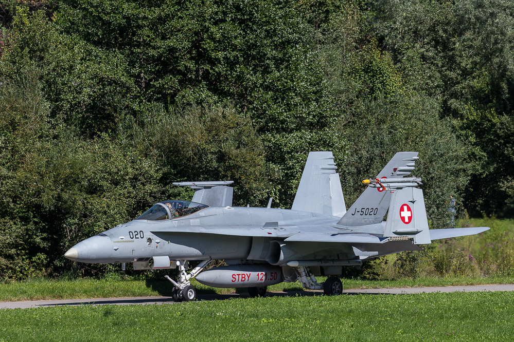 hornet_120