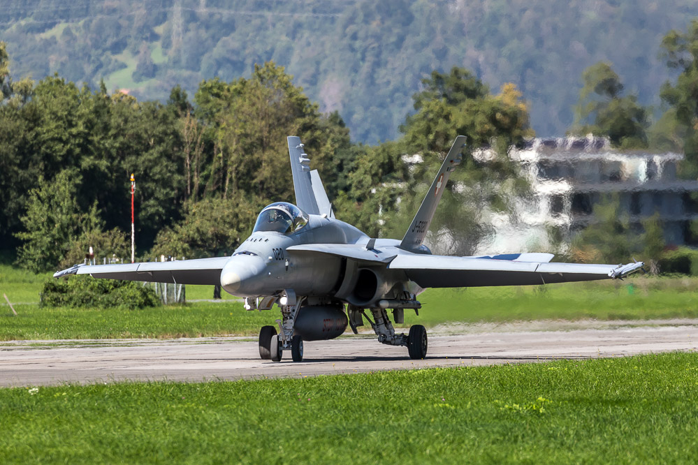hornet_121