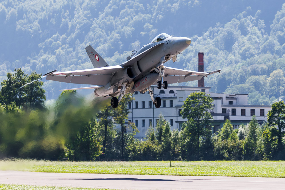 hornet_122