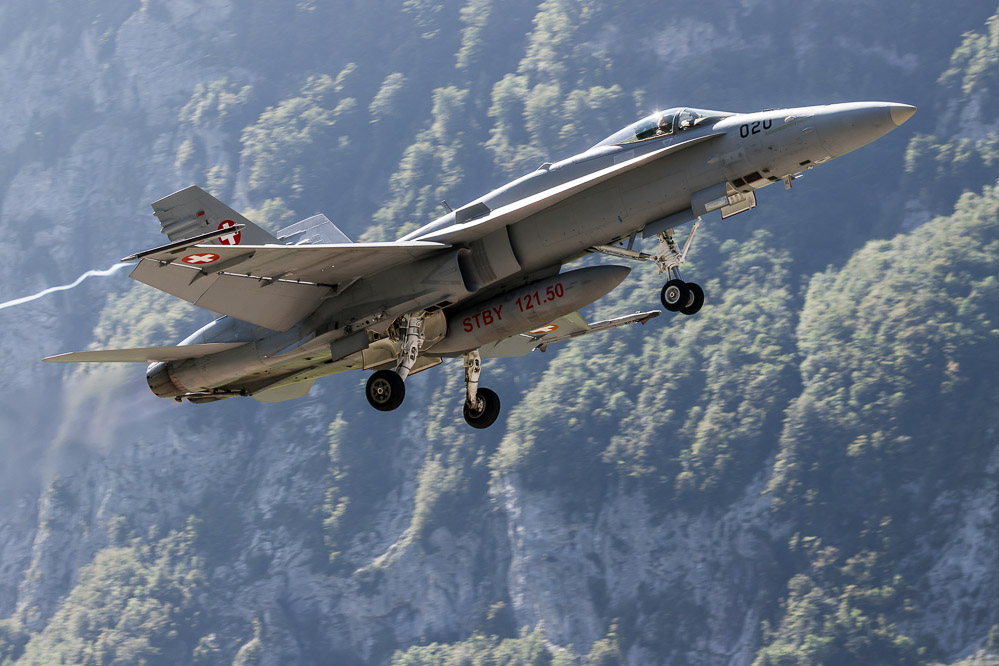hornet_123