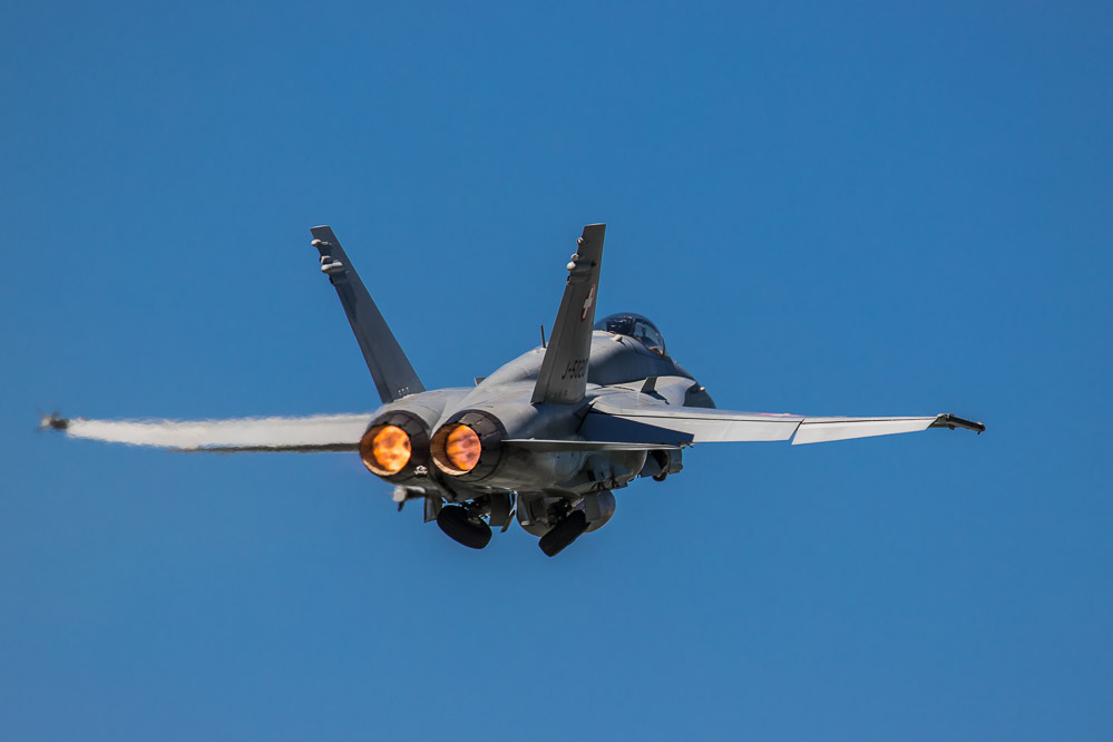hornet_124