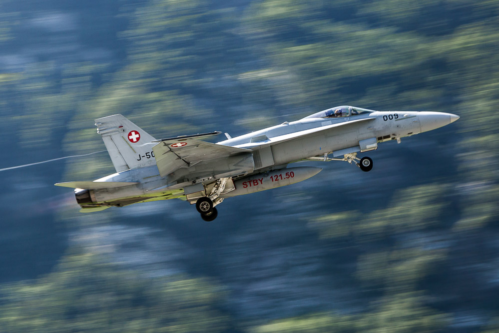 hornet_126