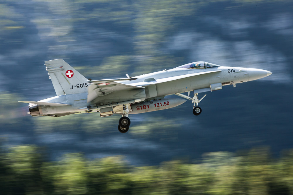 hornet_127