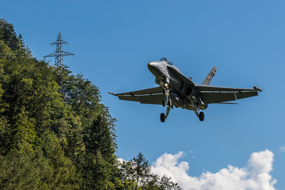 hornet_128