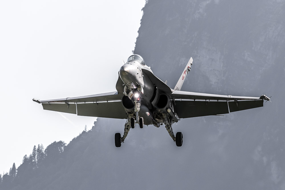 hornet_129