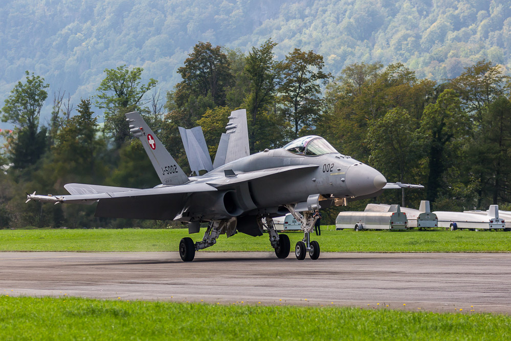 hornet_108