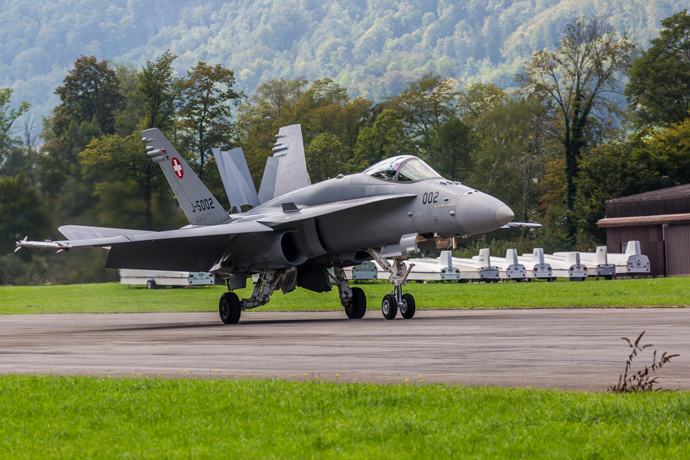 hornet_109